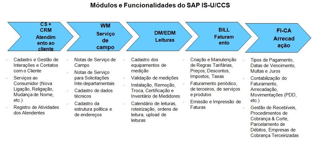 Módulos e funcionalidades do SAP CCS